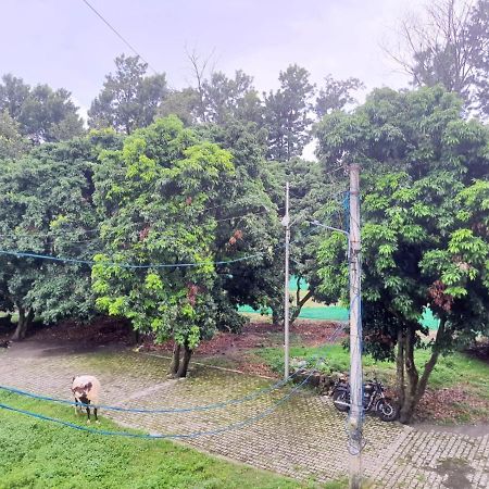 Nature View Homestay Dehradun Esterno foto