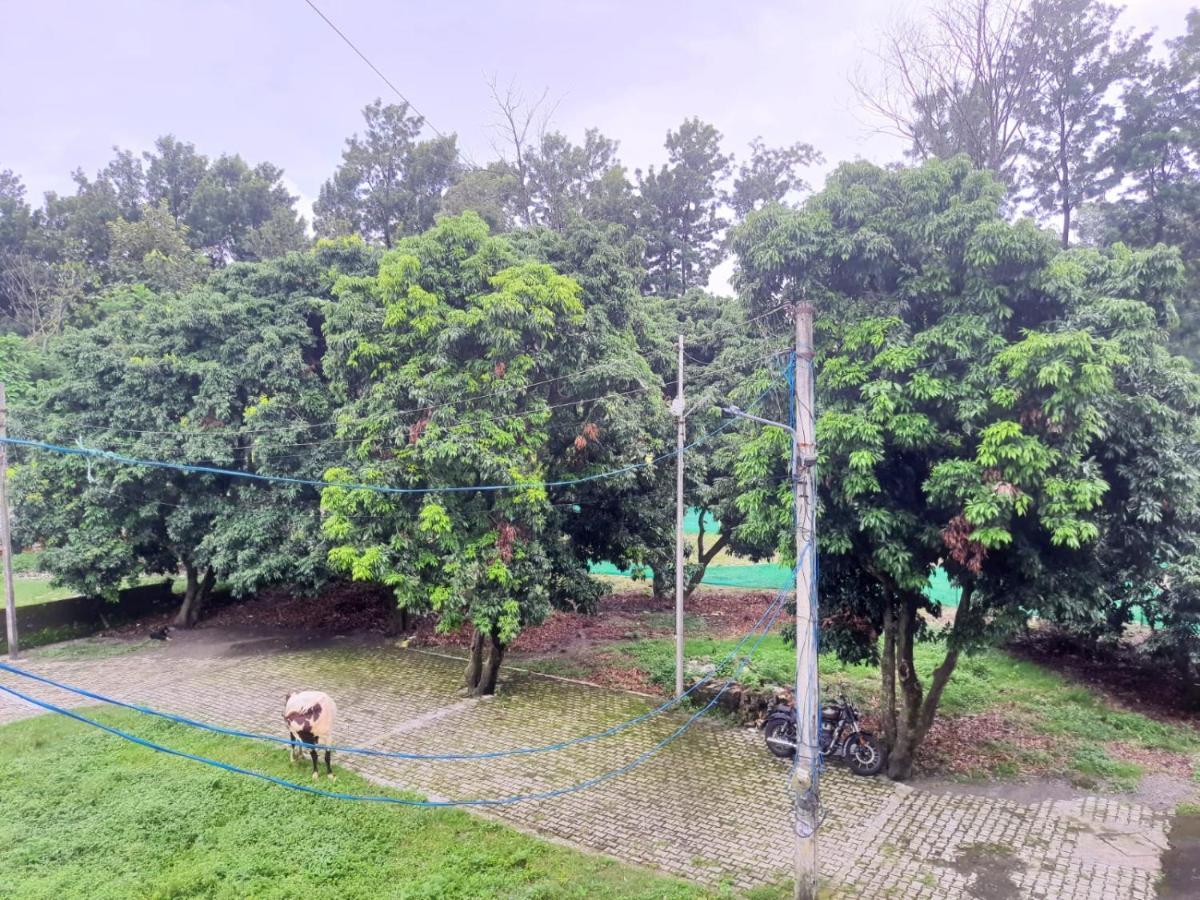 Nature View Homestay Dehradun Esterno foto